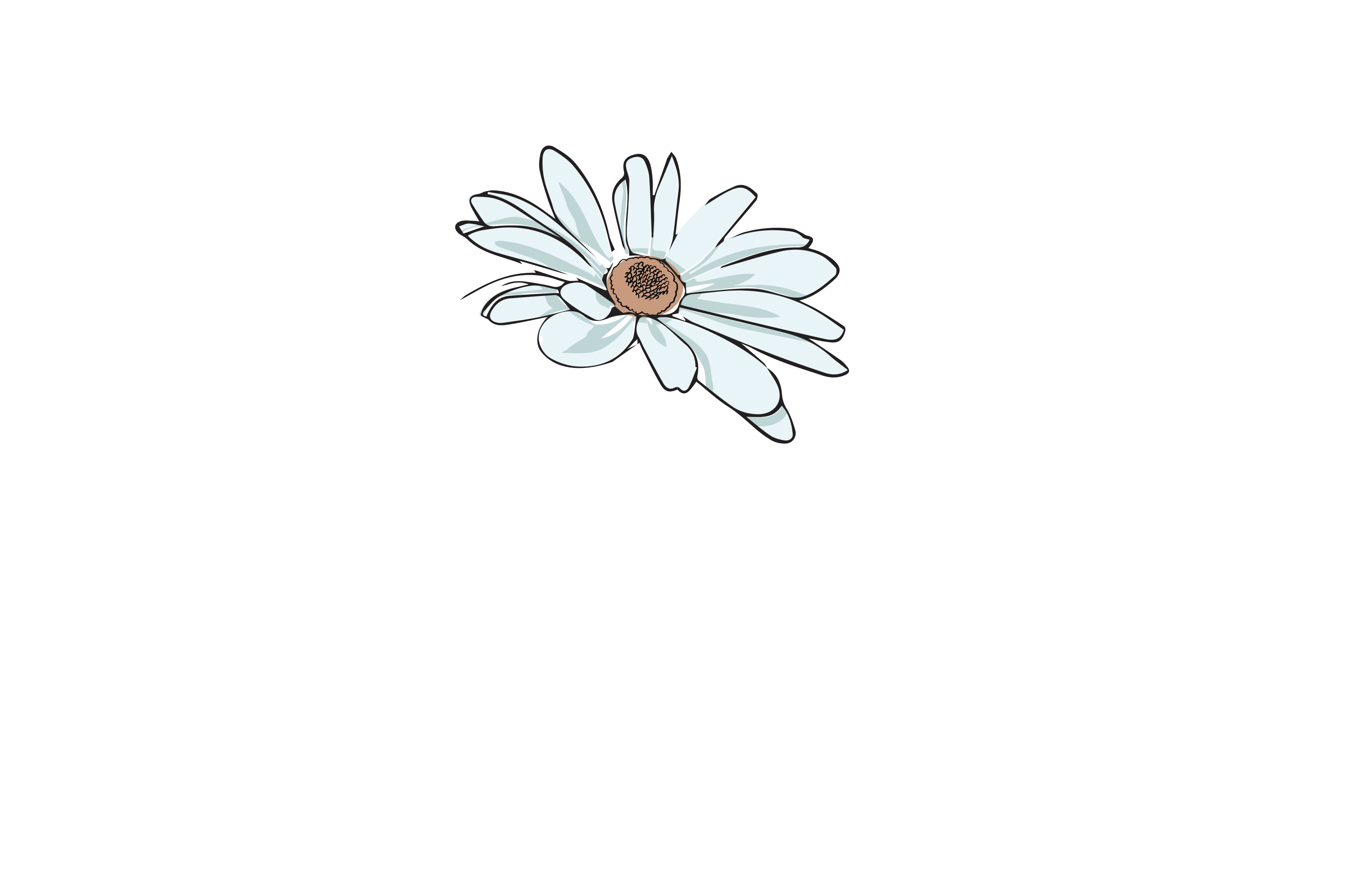 Centre thérapeutique Valérie Dion